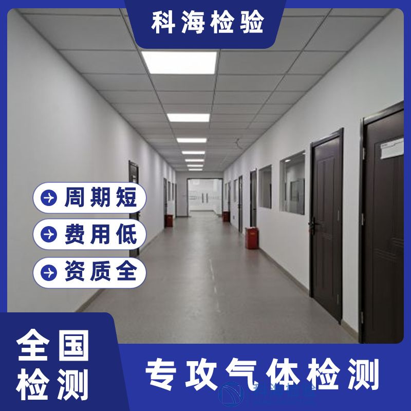 高效氫氣檢測服務